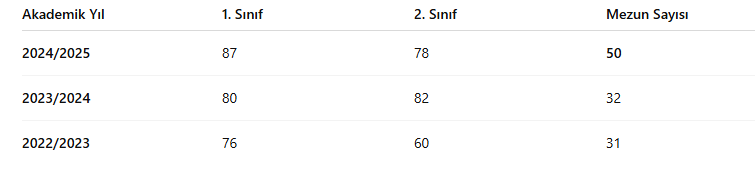 mezun sayısı.PNG